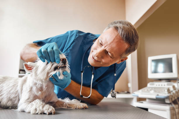 Best Emergency Dentist for Knocked-Out Tooth in Glenside, PA